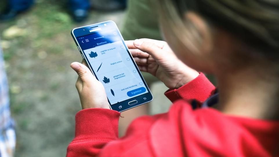 Smartphone mit geöffneter Datenerhebungsapp in den Händen einer Frau.