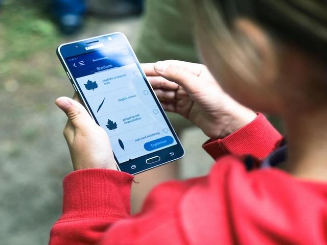 Smartphone mit geöffneter Datenerhebungsapp in den Händen einer Frau.
