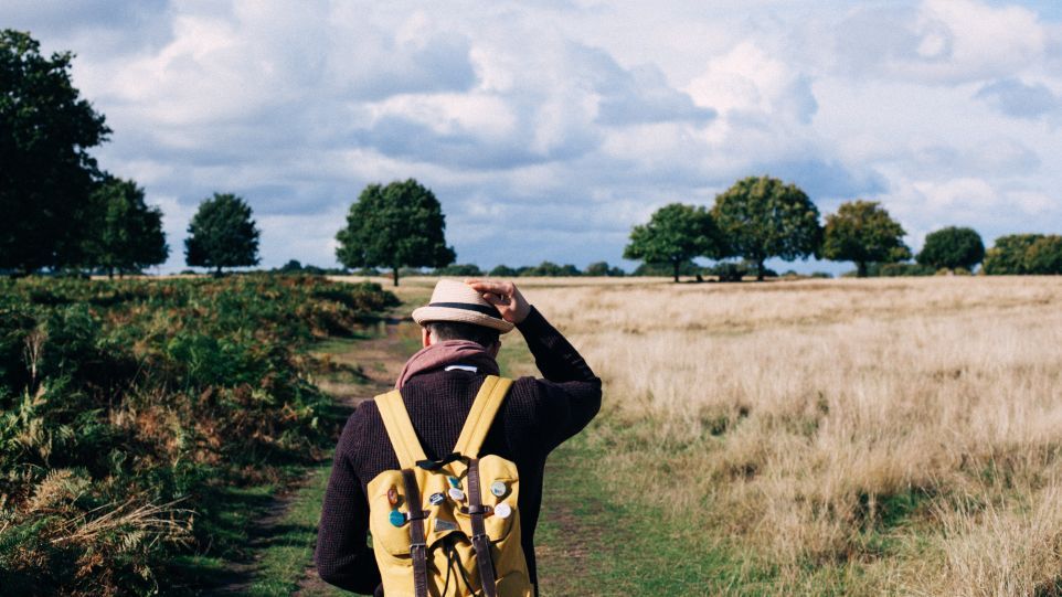 Wanderer auf einem Feldweg