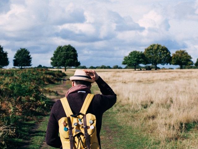 Wanderer auf einem Feldweg