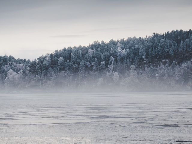 Zugefrorener See in vereister Landschaft