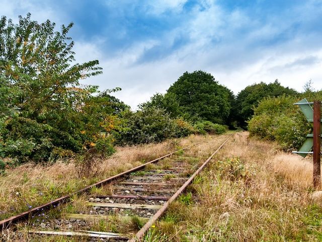 Alte Bahngleise, von Gras überwuchert