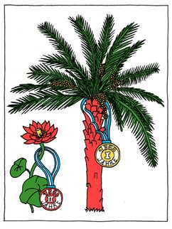 Illustration einer Dattelpalme, die 1900 Jahre alt ist. 