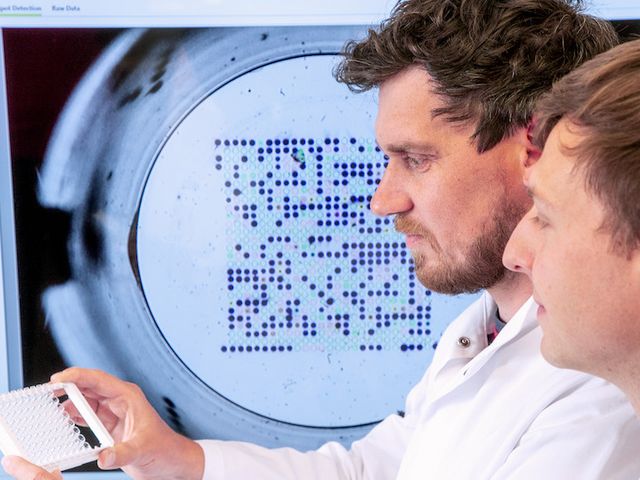 Wissenschaftler der fzmb GmbH betrachten mehrere "INTER-ARRAY"-Chips.