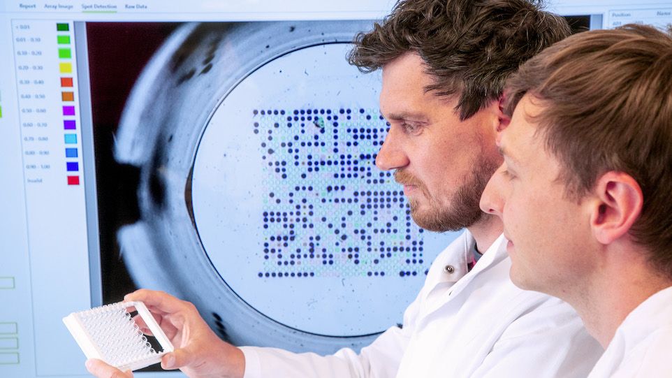 Wissenschaftler der fzmb GmbH betrachten mehrere "INTER-ARRAY"-Chips.