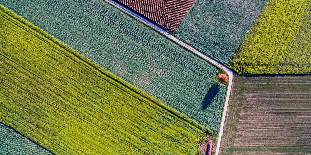 Headerbild
