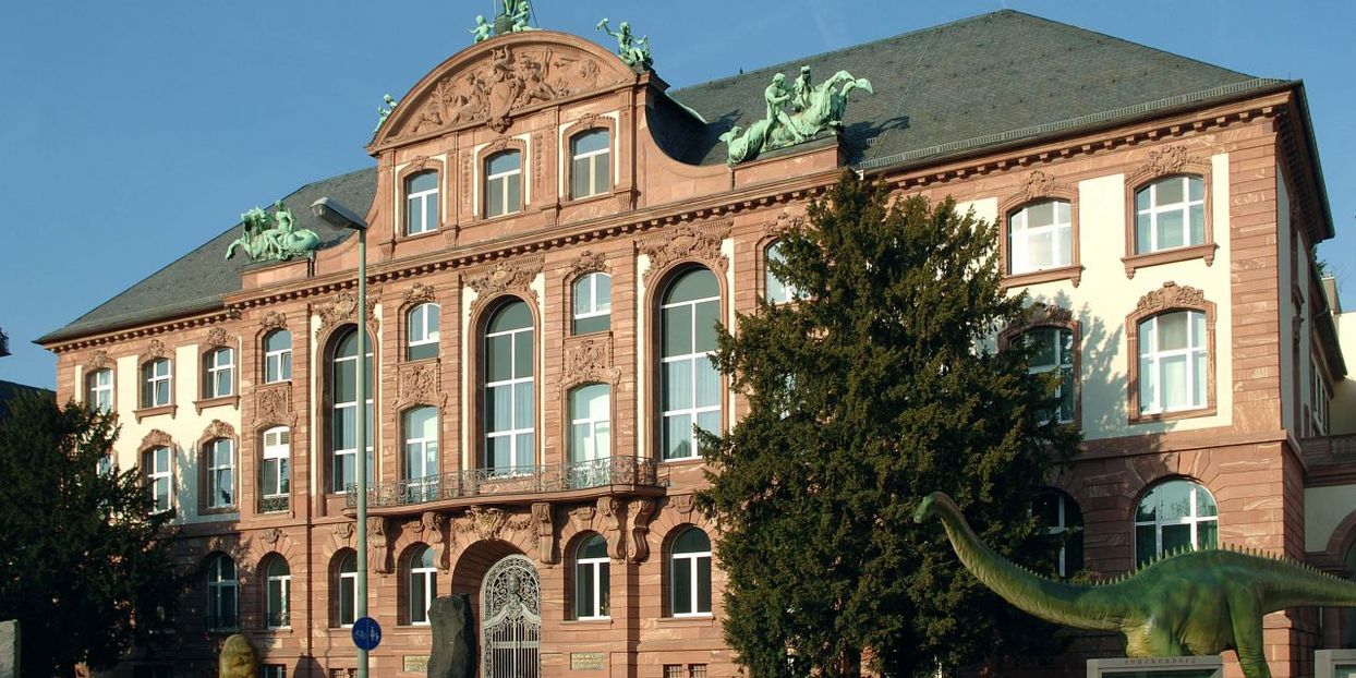 Headerbild