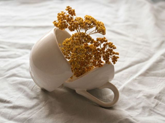 Zerbrochene Tasse