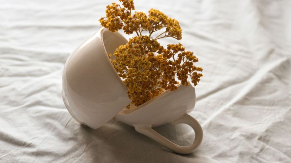 Zerbrochene Tasse