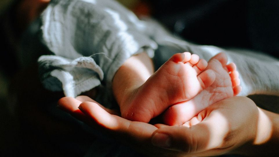 Baby's feet in a hand