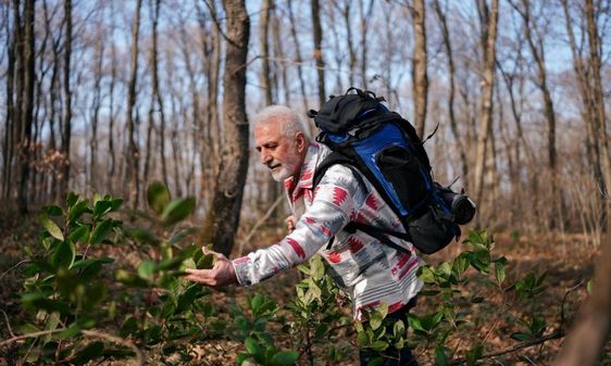 Mann berührt Pflanzen im Wald