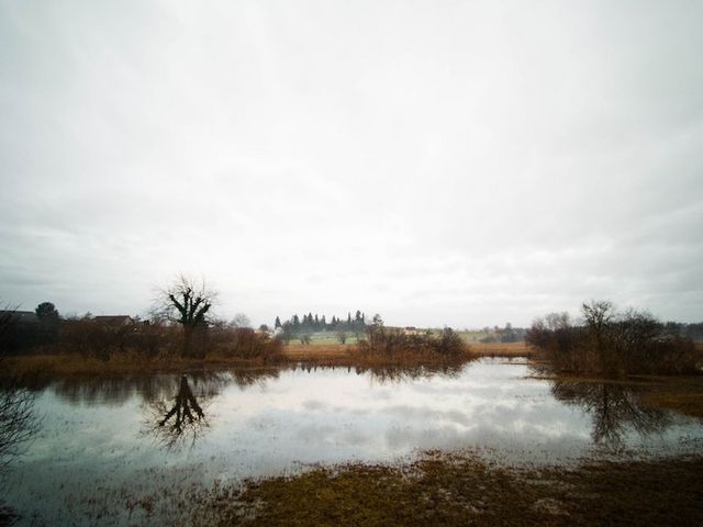 Peatland