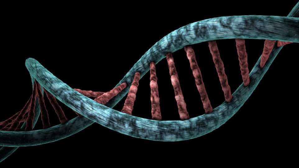Genetisches Muster