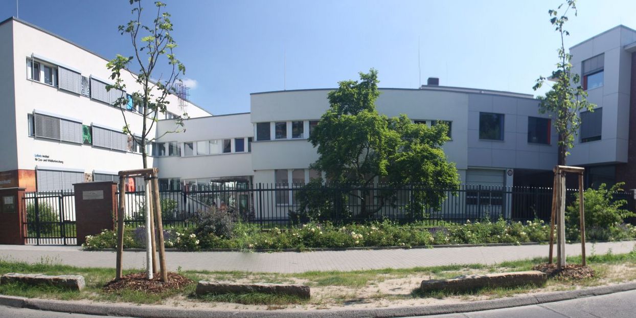 Headerbild