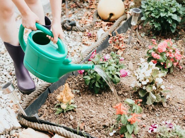 Bewässerung von Gartenblumen