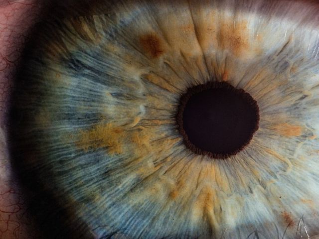Close-up of an eye