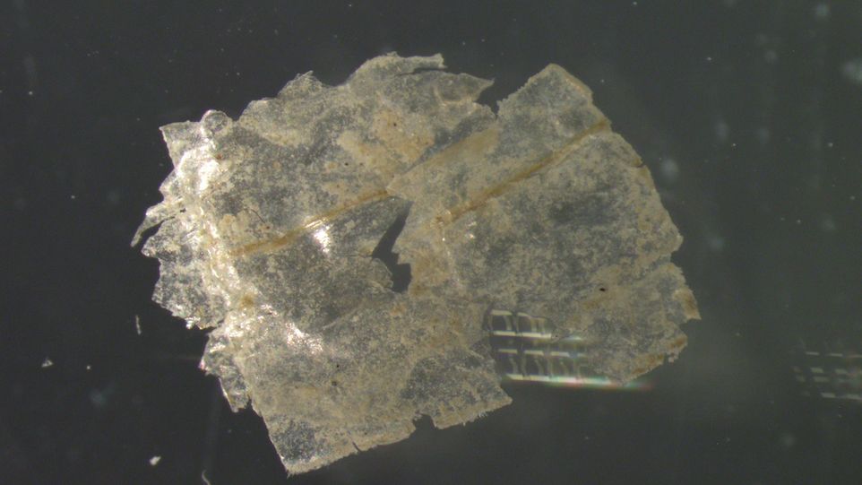 Mikroplastik-Teilchen