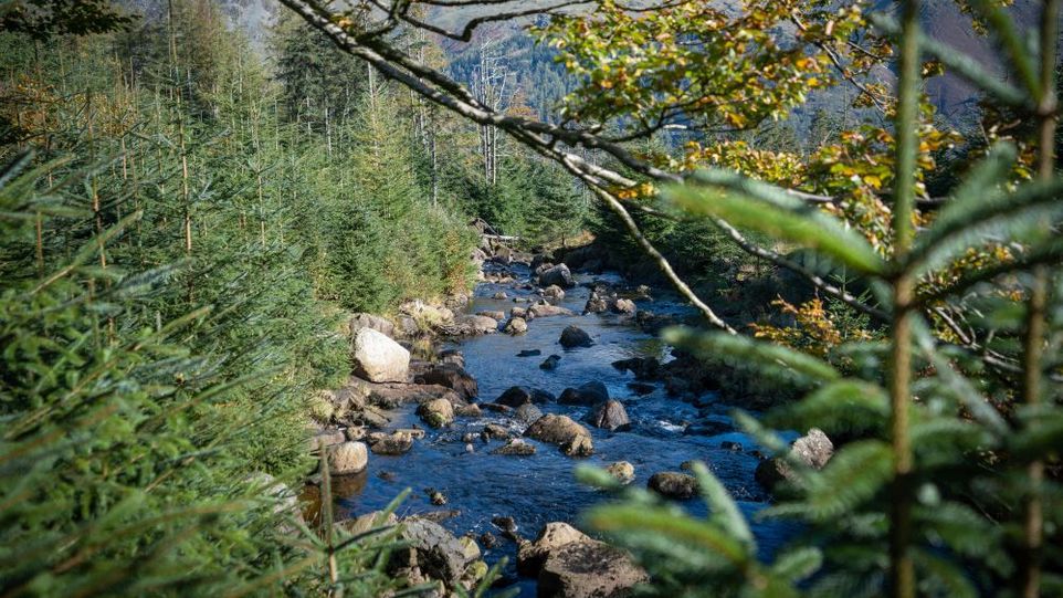 Bergfluss