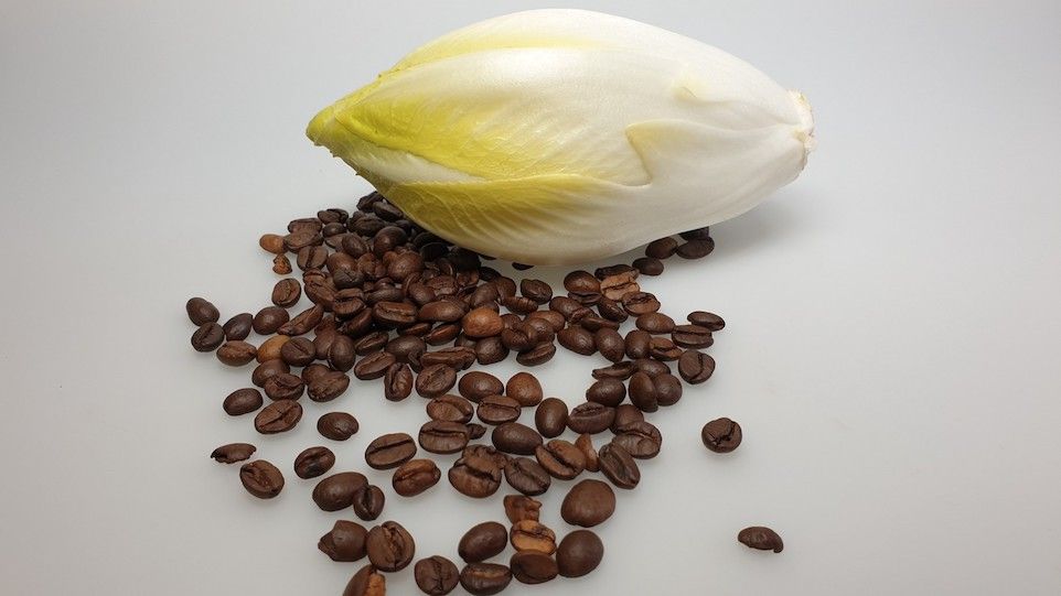 Chicorée und Kaffeebohnen Chicorée und Kaffeebohnen