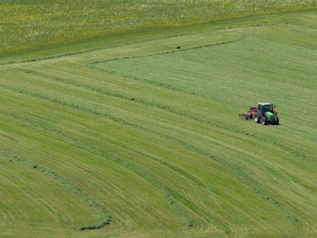 Vogelperspektive von strahlend grünem Grasland, auf welchem Traktor fährt