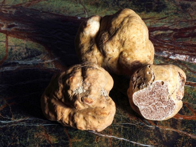 Trüffel-Knollen