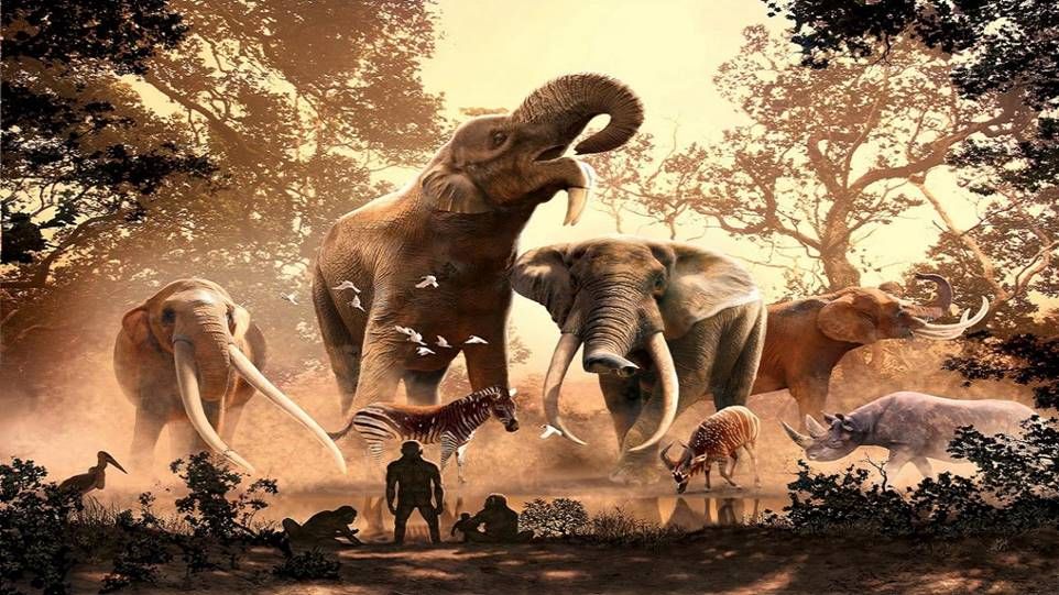 Illustration with four powerful-looking elephants at a waterhole in the jungle, with zebras, a rhinoceros and apes in the foreground.