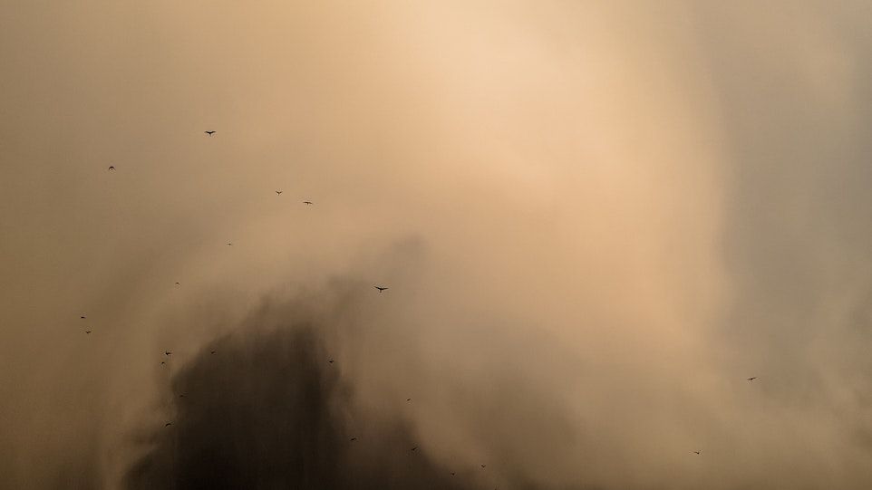 Staubsturm mit Vögeln
