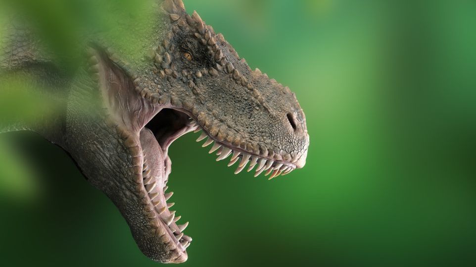 Kopf einer Dinosaurier-Nachbildung