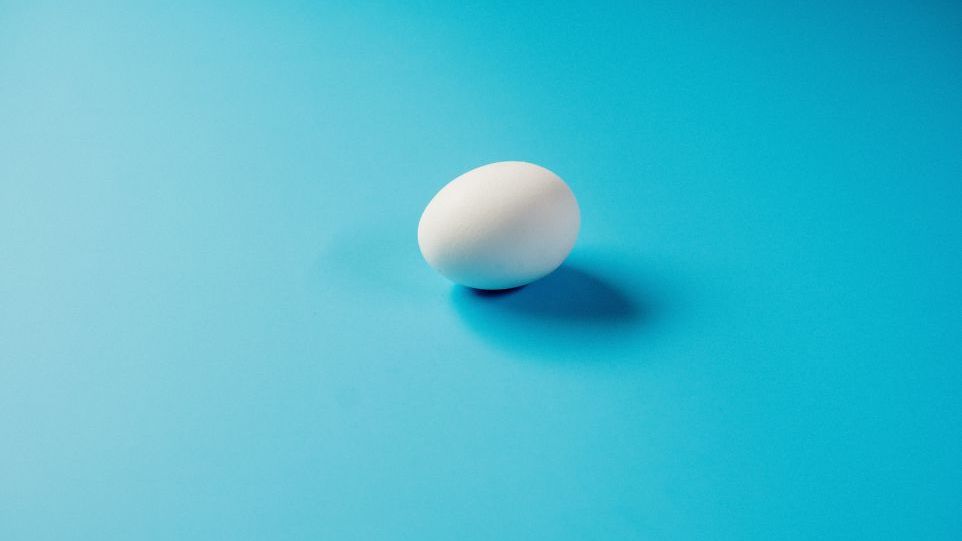 Hühnerei vor blauem Hintergrund