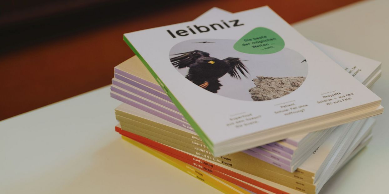 Headerbild