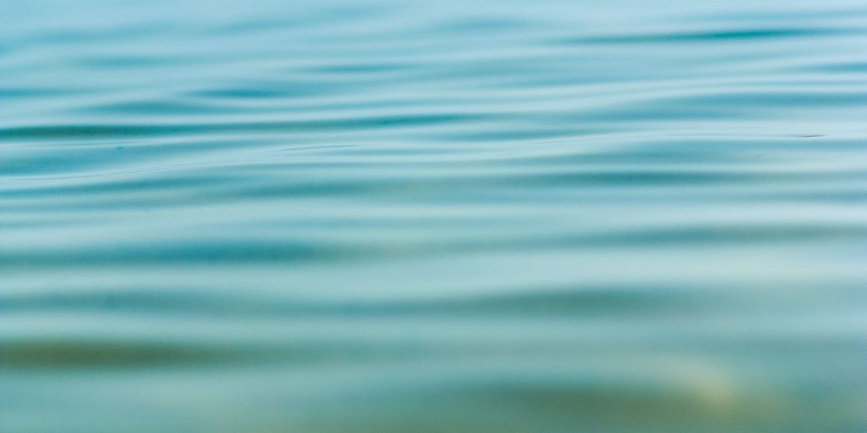 Headerbild