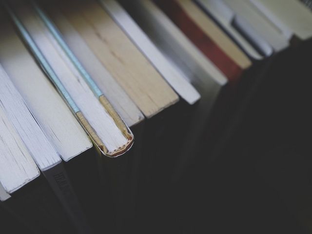 Mehrere Bücherrücken