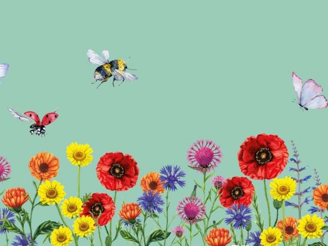 Illustration. Blumenwiese mit Bienen und Schmetterlingen
