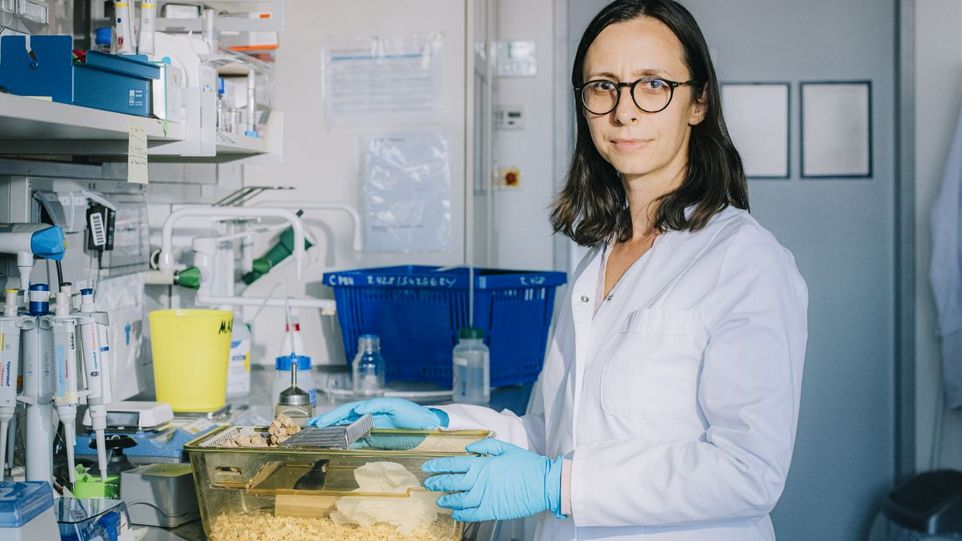 Sanja Bauer Mikulovic (LIN) ist eine von fünf mit dem ERC Starting Grant ausgezeichneten Leibniz-Forschenden Portrait Sanja Bauer Mikulovic