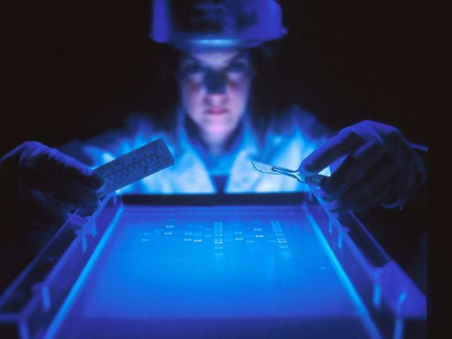 Forscherin bei der DNA-Fragmentierung