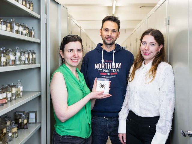 Zwei Forscherinnen und ein Forscher mit Modell-Spinne in den Sammlungsräumen des LIB