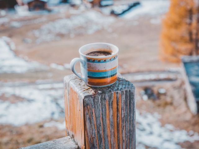 Kafeetasse auf Baumstamm