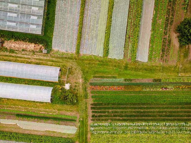 Ackerlandschaft aus Vogelperspektive