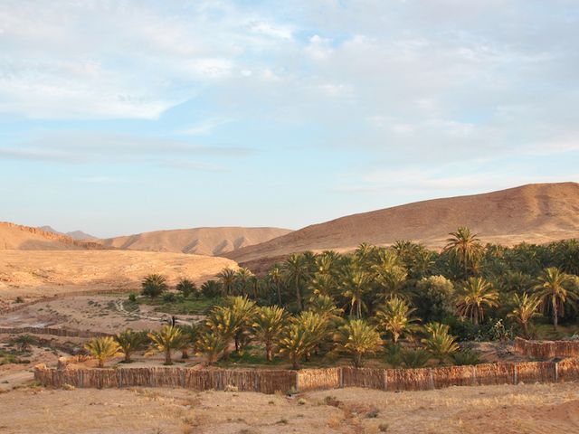 Bergoase in Tunesien