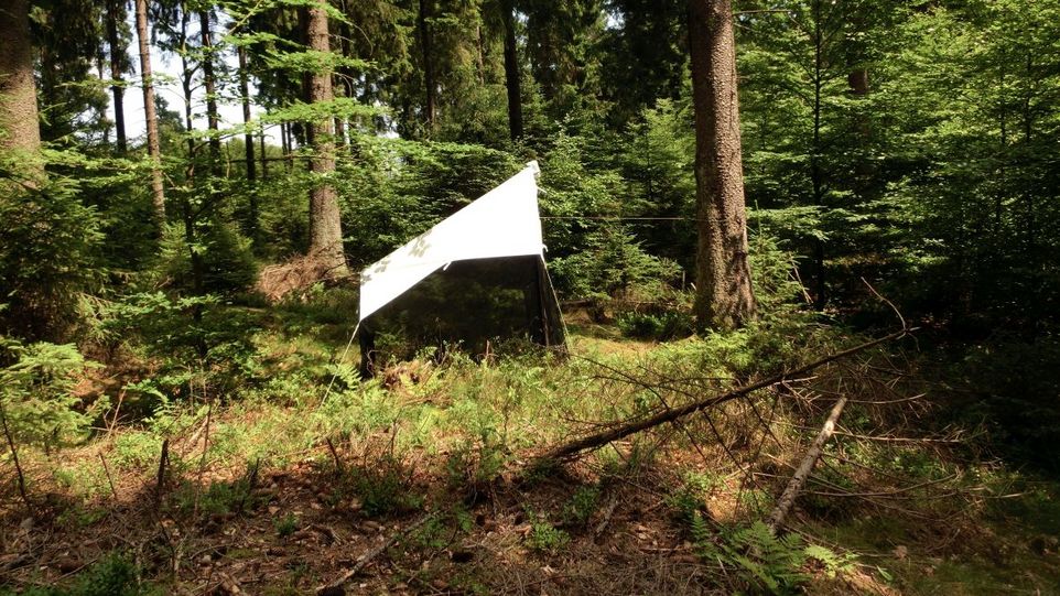 Schutzzelt im Wald