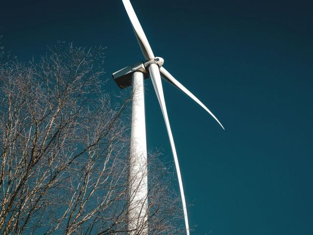 Windrad
