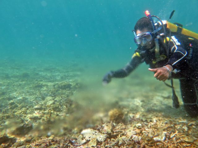 Diver swims on the ocean floor.