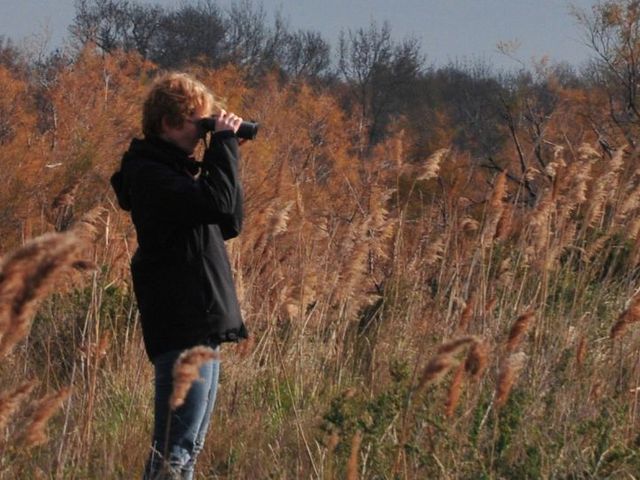 Prof. Dr. Böhning-Gaese mit Feldstecher auf Vogelbeobachtung in herbstlicher Landschaft