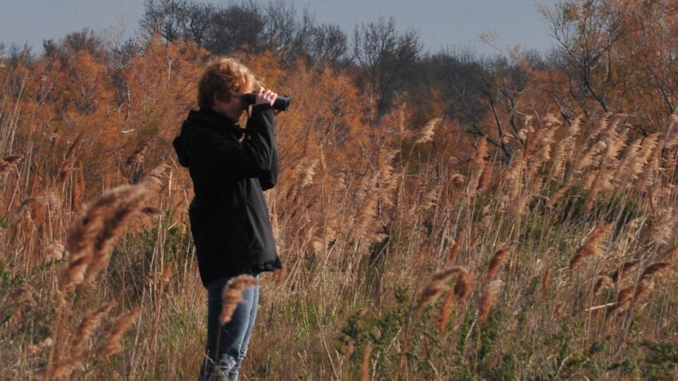 Prof. Dr. Böhning-Gaese mit Feldstecher auf Vogelbeobachtung in herbstlicher Landschaft