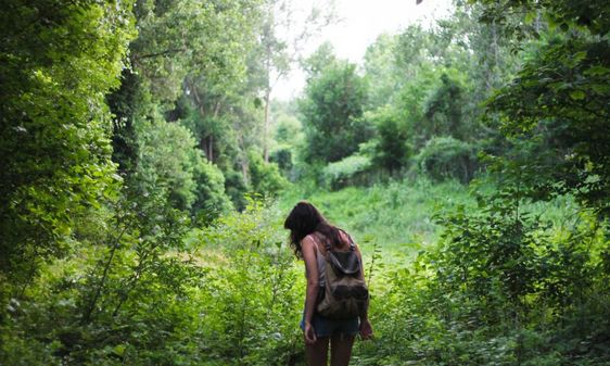 Citizen Scientist keeps an eye out for certain plants in the forest