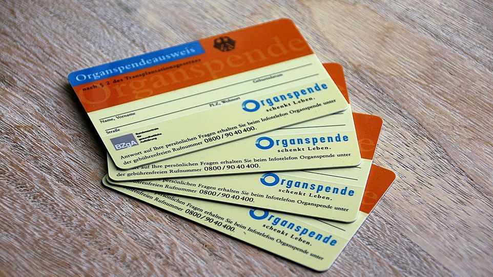 Four organ donor cards placed on top of each other