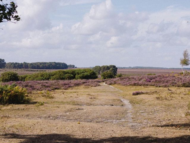 Landschaft mit Heidekraut