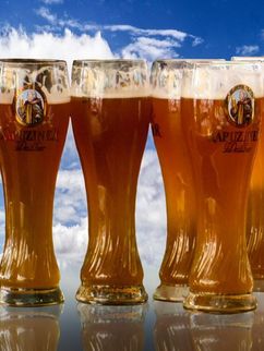 Biergläser Bier Leibniz Magazin 