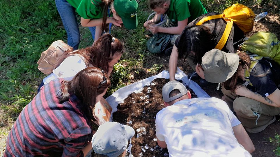 Bioblitz in the Botanical Garden in Tbilisi