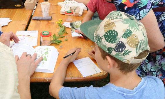 Kinder zeichnen Pflanzen ab
